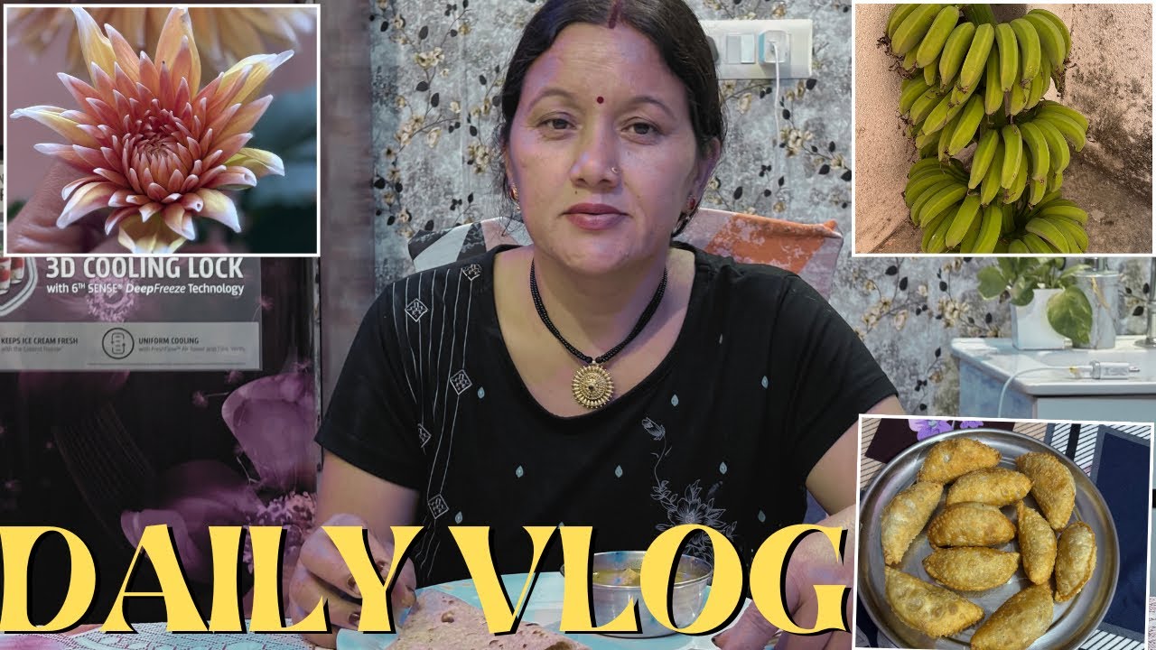 डेली व्लॉग 🥟[ Daily Vlog ]