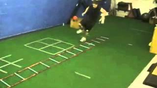 Single Leg Zig Zag Hops Footwork low impact