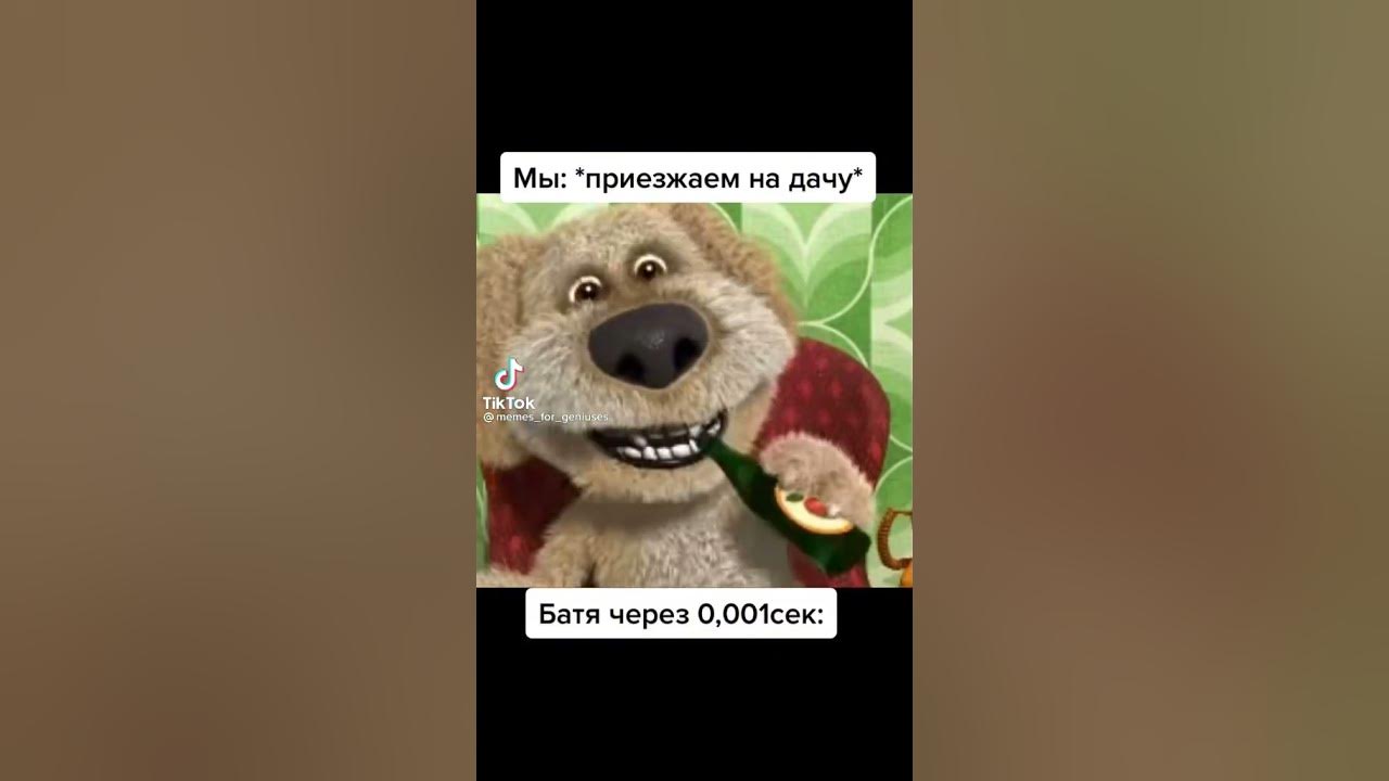 Doggos Doing Funny Things Cutest Puppies of TikTok! The Dog Squad - YouTube