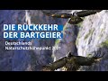 Kurzfilm | Die Rückkehr der Bartgeier | Deutschlands Naturschutzhöhepunkt 2021 | LBV