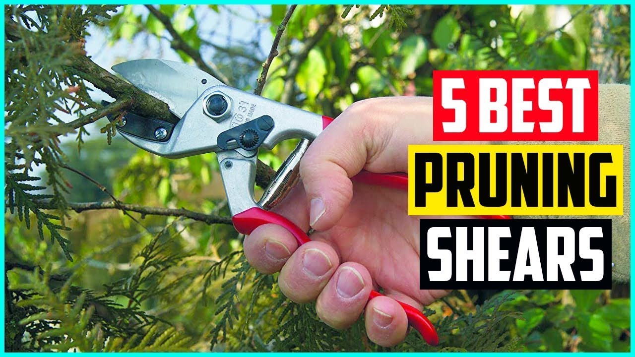 ClassicPro Titanium Pruning Shears - Best Tree Trimmer, Garden Shears, Hand