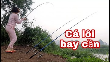 Câu cá sông Trung An Củ Chi / Cá ăn bay cần / river fishing | Cúc Nguyễn Official