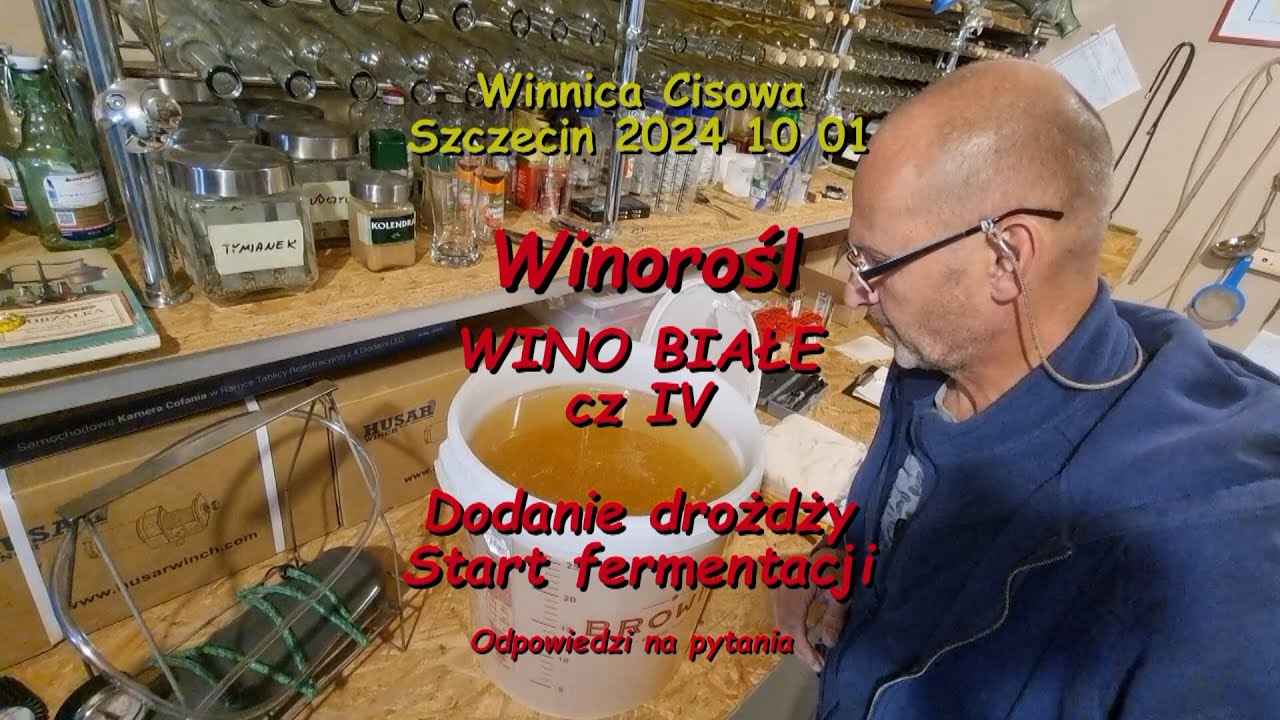 WINOROŚL - WINO BIAŁE cz. IV (Dodanie drożdży i start fermentacji) - Winnica Cisowa 2024 10 01