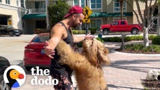 Guy Decides His Dog Will Be His PlusOne Everywhere He Goes | The Dodo