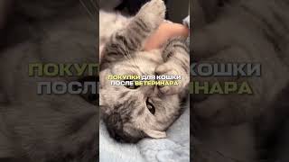 Зубная паста с прополисом на вб : #WW464583 ( копируй с буквами ) Лососевое масло на вб: #WW464662