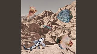 Escape Sequence