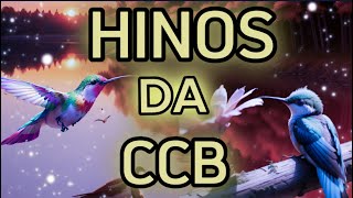 Hinos da CCB - HINOS QUE TRANSMITE  PAZ  PARA CASA - CCB HINOS