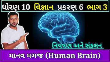 માનવ મગજ | Manav magaj | Human brain | niyantran ane sankalan | STD 10 SCIENCE CH 6 PART 3