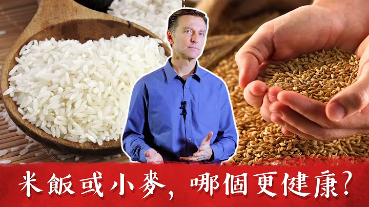 米飯小麥,哪個更健康?柏格醫生 Dr Berg - 天天要聞
