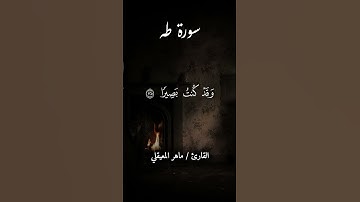 وكذلك نجزي من أسرف😥💔🎧 القارئ #ماهر_المعيقلي #قرآن #المصحف #capcut #اكسبلور #راحة_نفسية #ترند #لايك