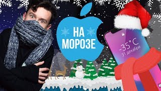 iPhone на морозе. 3 способа сохранить батарею