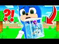 BEBEK SONİC'İN ÇANTASININ İÇİNE GİRİP HAVUZ YAPTIK 😱 Minecraft
