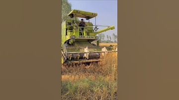 GRD  combine #combine #harvestermachine #combinemachine #combineharvester #harvesterwala#tranding