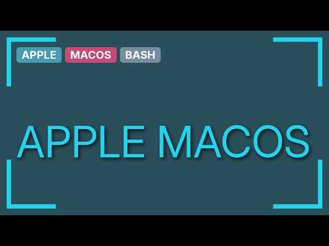 Apple: How to use bash as default shell? (2 Solutions!!)