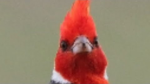 EEEEE Multi-Rendering Round 12