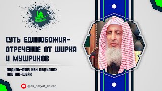 Суть Единобожия отречение от ширка и мушриков.