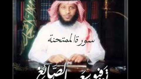 سورة الممتحنة بصوت القارئ توفيق الصائغ
