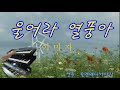 울어라열풍아 이미자 Disco Trot 전자올겐 고음질