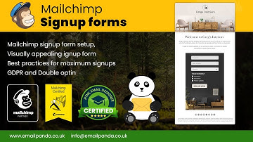 Mailchimp signup form setup and best practices
