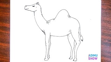 How to draw a camel 🐪| step by step tutorial