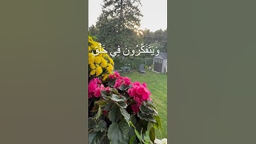 #قرآن #تلاوة_خاشعة #تلاوة_هادئة #tilawat #راحة_نفسية