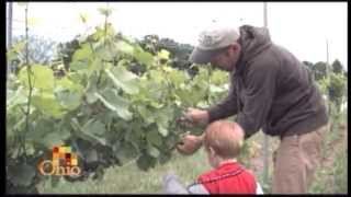 Wine and Cheese Production