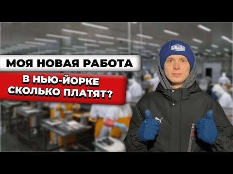 НОВАЯ РАБОТА в США без знания языка. Сколько платят?