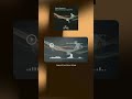 Bioluminescence | Sand Spectre #melodictechno #techno #deeptechno #edm #groovetechno