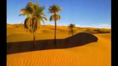 ليبيا القران الكريم الشيخ الدوكالي العالم