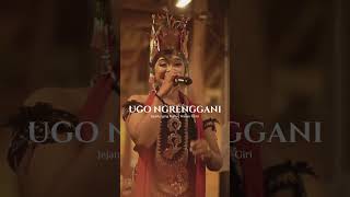 Jejantunging Kalbu  Wahyu F Giri templatecapcut jarananbanyuwangi slowed slowmo wayangkulit