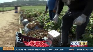 FARMWORKER ASSISTANCE PROGRAM