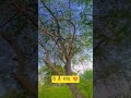 ये है गांव #foryou #youtube #love