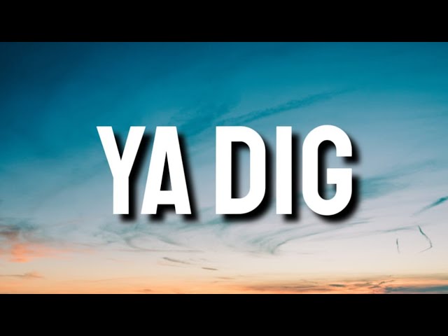 Lil Wayne - Ya Dig (Lyrics)