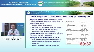 HSCC 2024 - PGS.TS.DS. Nguyễn Hoàng Anh - Vi sinh lâm sàng - Dược lâm sàng
