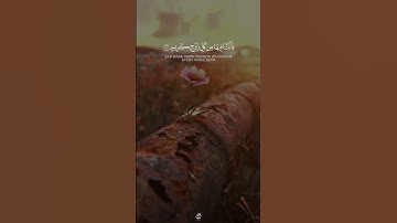 هذا خلق الله فأروني ماذا خلق الذين من دونه - القارئ ياسر الدوسري || قناة الفردوس الأعلى