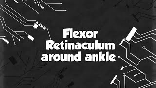 Flexor Retinaculum Around Ankle | Easy Anatomy for MBBS 1st Year #FlexorRetinaculum #AnkleAnatomy