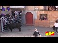 AUTOL  (LA RIOJA)  MATINAL VACAS EN LA CALLE  (DOMINGO 2 FEBRERO 2020)  PEDRO DOMINGUEZ