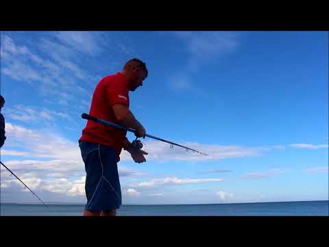 Shark spotted off the devon coastline while mackerel fishing