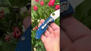 Spyderco Tenacious