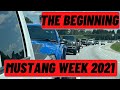 Lucifer Fox Makes Grand Entrance! [Mustang Week 2021-- We Made it!!!!]