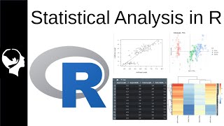 Running Basic Statistical Analysis in R screenshot 5