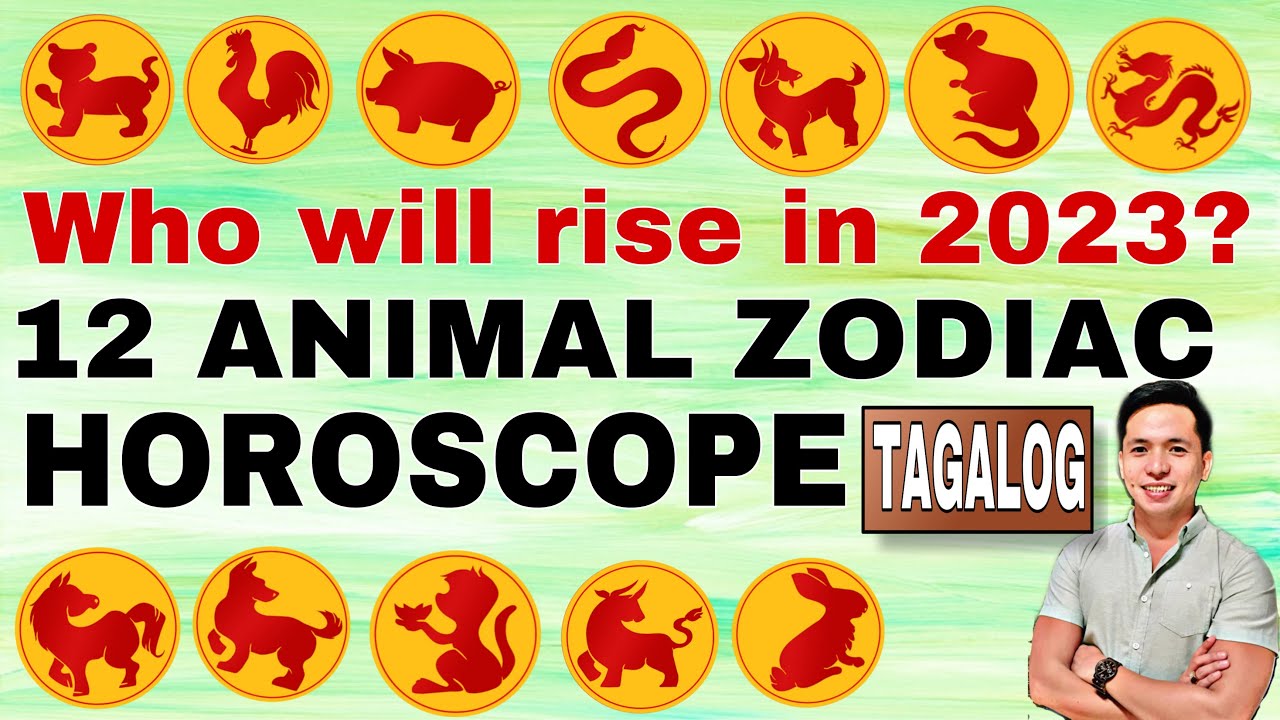 2023 CHINESE ZODIAC HOROSCOPE 12 ZODIAC ANIMAL FORECAST FOR THE YEAR 2023 CHINESE ZODIAC HOROSCOPE 12 ZODIAC ANIMAL FORECAST FOR THE YEAR