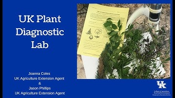 UK Plant Diagnostic Laboratory