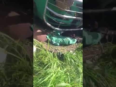Video; 20 People Have Died in a Fatal Accident this Morning 4-May-2022 in Fort Portal. #osutayusuf