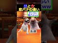 【猫ミーム】男と女恋バナの違い　#猫ミーム #shorts #catmemes #猫マニ #あるある
