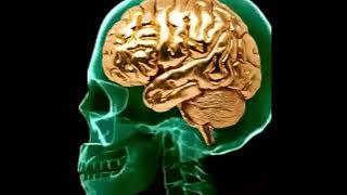 i love abigail but she don't love me back (instrumental)