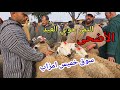 مباشرة من سوق خميس سيدي حجاج امزاب 30 04 2026 مع التمن حولي العيد الأضحى