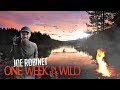 A Week in The Wild