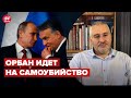 🔴Путин обещает Орбану "кусок Украины", – ФЕЙГИН