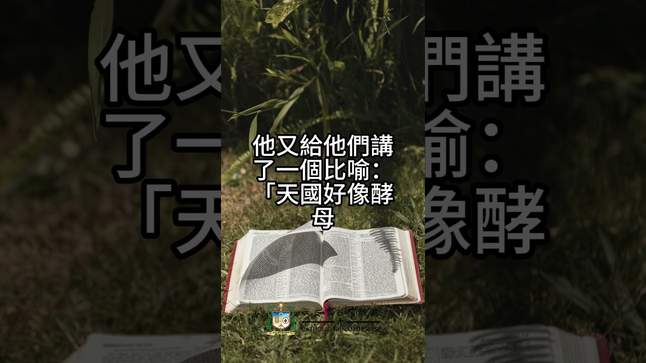 07/27  恭讀聖瑪竇福音　13:31-35   芥子成了樹，甚至天上的飛鳥也在它的枝上棲息。
